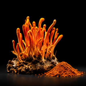Cordyceps, godmode ingredient
